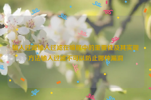 输入过滤输入过滤在编程中的重要性及其实现方法输入过滤不可以防止哪种漏洞