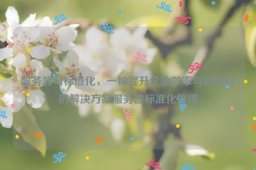服务器可标准化，一种提升企业效率与稳定性的解决方案服务器标准化管理