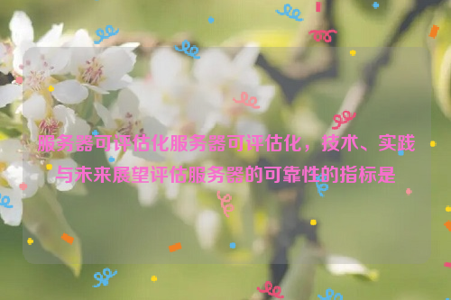 服务器可评估化服务器可评估化，技术、实践与未来展望评估服务器的可靠性的指标是
