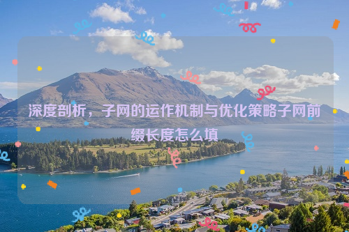 深度剖析，子网的运作机制与优化策略子网前缀长度怎么填