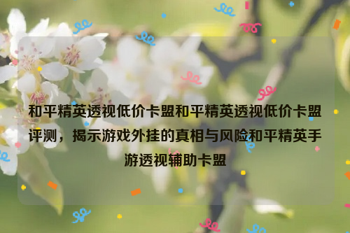 和平精英透视低价卡盟和平精英透视低价卡盟评测，揭示游戏外挂的真相与风险和平精英手游透视辅助卡盟