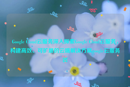 Google Cloud云服务深入探索Google Cloud云服务，构建高效、可扩展的云端解决方案google云服务器