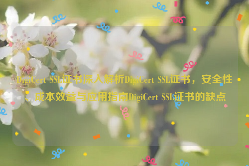 DigiCert SSL证书深入解析DigiCert SSL证书，安全性、成本效益与应用指南DigiCert SSL证书的缺点