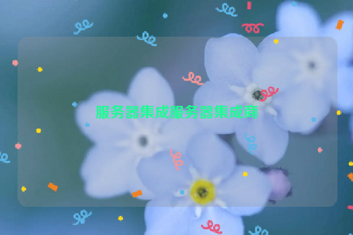 服务器集成服务器集成商