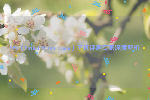 VPC（Virtual Private Cloud）主机评测专家深度解析