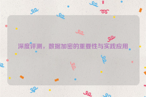 深度评测，数据加密的重要性与实践应用